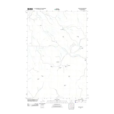 2011 Map of New Year, 2011 Print