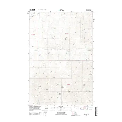 2014 Map of New Year, 2014 Print