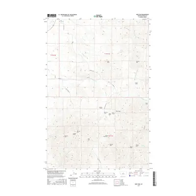 2017 Map of New Year, 2017 Print