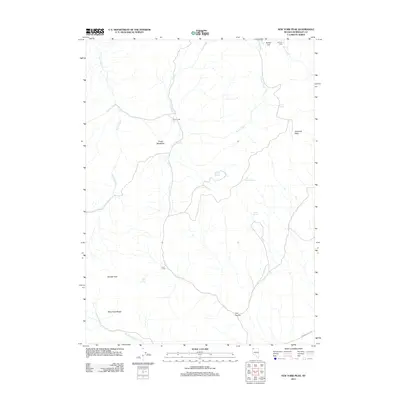 2011 Map of New York Peak, 2011 Print