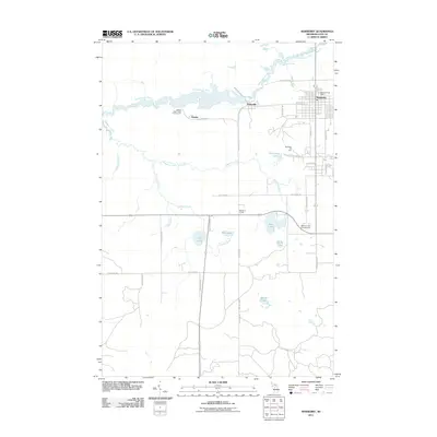 2011 Map of Newberry, 2011 Print