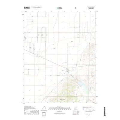 2020 Map of Newcastle, 2020 Print