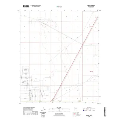 2020 Map of Newman, 2020 Print