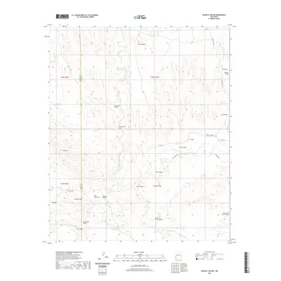 2020 Map of Nichols Canyon, 2020 Print