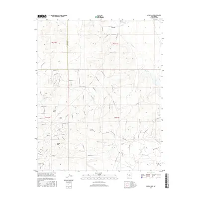 2017 Map of Nicoll Lake, 2017 Print