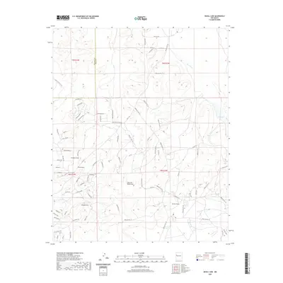 2020 Map of Nicoll Lake, 2020 Print