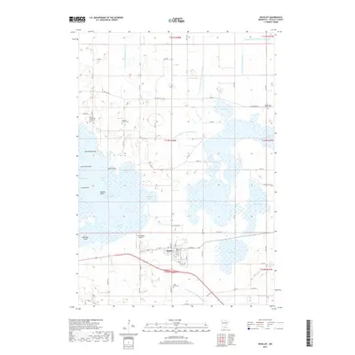 2019 Map of Nicollet, 2019 Print