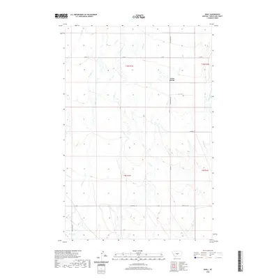 2020 Map of Nihill, 2020 Print