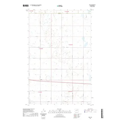2020 Map of Niles, 2020 Print