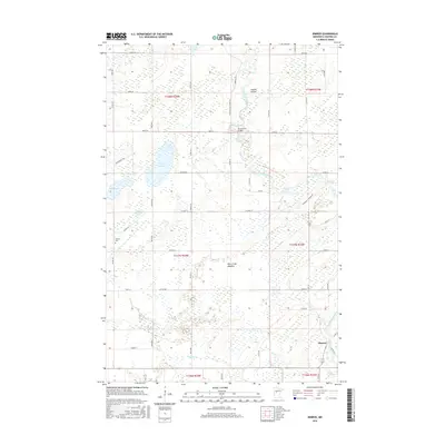 2016 Map of Nimrod, 2016 Print