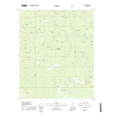 2020 Map of Nogal Peak, 2020 Print