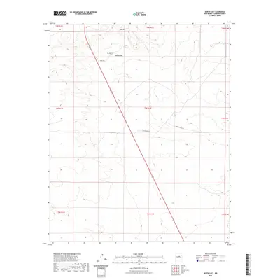 2020 Map of North Lucy, 2020 Print