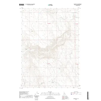 2020 Map of Nutmeg Flat, 2020 Print