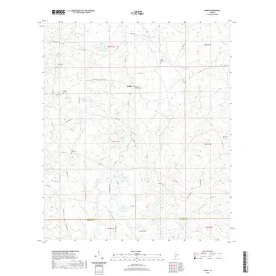 2020 Map of Nymph, 2020 Print