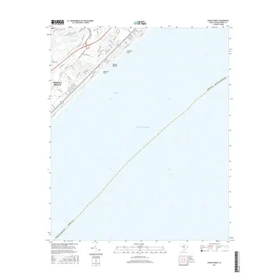 2017 Map of Ocean Forest, 2017 Print
