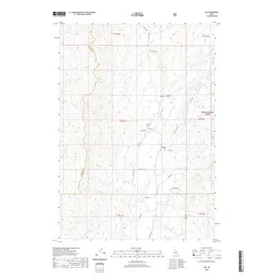 2020 Map of Ola, 2020 Print