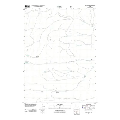 2011 Map of Old Canyon, 2011 Print