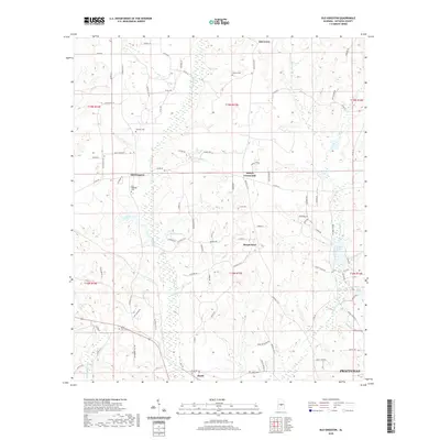 2020 Map of Old Kingston, 2020 Print