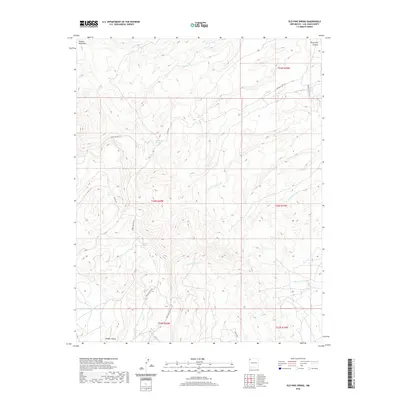 2020 Map of Old Pine Spring, 2020 Print