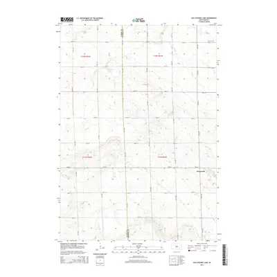 2015 Map of Old Stickney Lake, 2015 Print