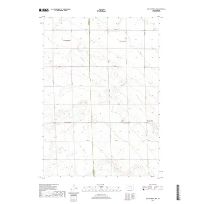 2017 Map of Old Stickney Lake, 2017 Print