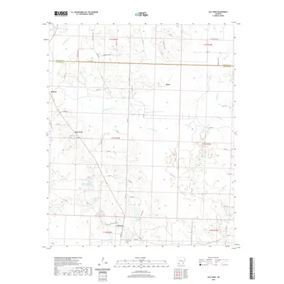 2020 Map of Old Town, 2020 Print