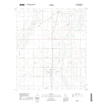 2020 Map of Oretta, 2020 Print