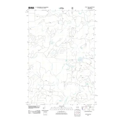 2011 Map of Otter Lake, 2011 Print