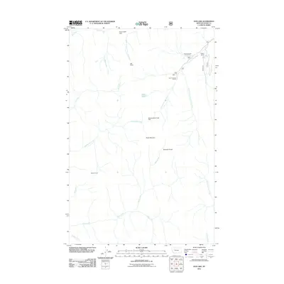 2011 Map of Our Lake, 2011 Print