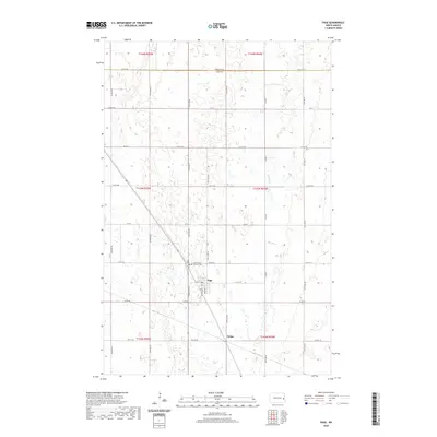 2020 Map of Page, 2020 Print
