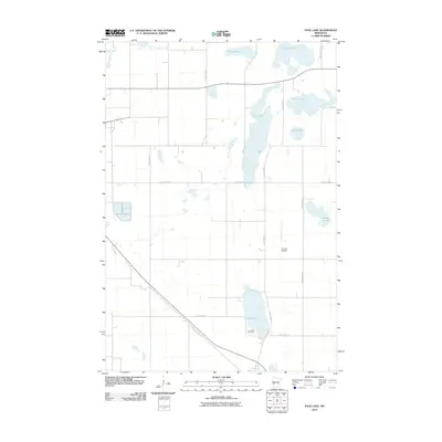 2010 Map of Page Lake, 2010 Print