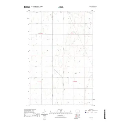 2020 Map of Page SE, 2020 Print