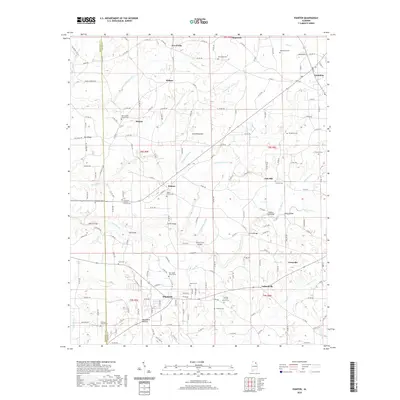 2020 Map of Painter, 2020 Print