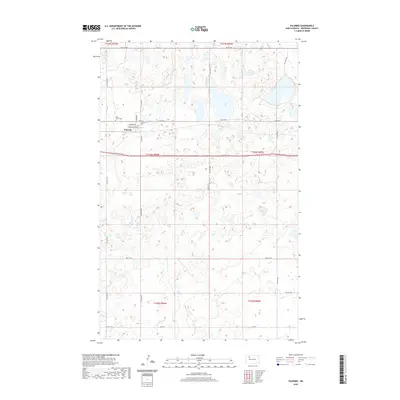 2020 Map of Palermo, 2020 Print