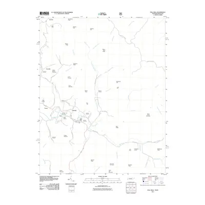 2011 Map of Pall Mall, 2011 Print