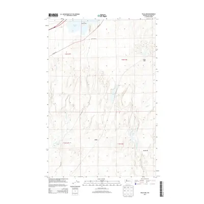 2013 Map of Palm Lake, 2013 Print