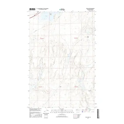 2017 Map of Palm Lake, 2017 Print