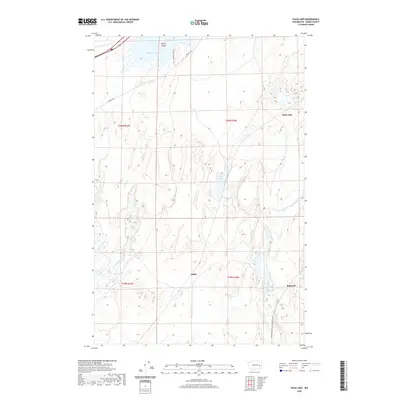 2020 Map of Palm Lake, 2020 Print
