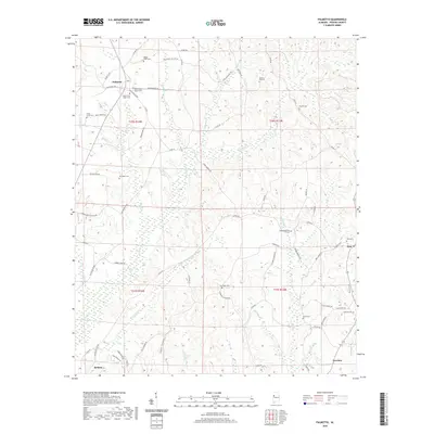 2020 Map of Palmetto, 2020 Print