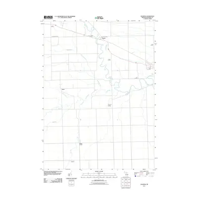 2011 Map of Palmyra, 2011 Print