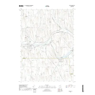 2019 Map of Palmyra, 2019 Print
