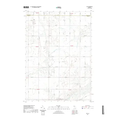 2019 Map of Palo, 2019 Print
