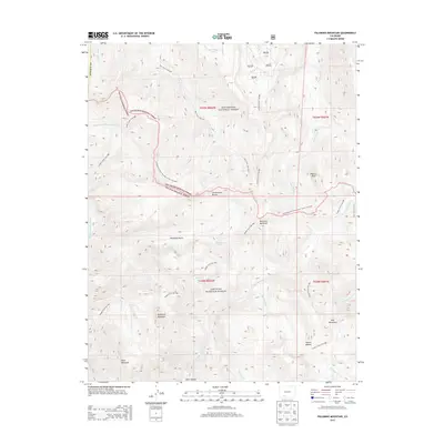 2013 Map of Palomino Mountain, 2013 Print
