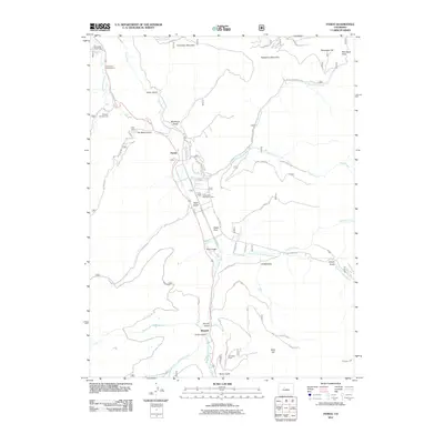 2011 Map of Pando, 2011 Print