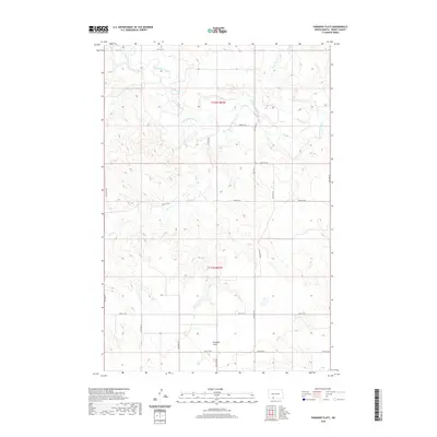 2020 Map of Paradise Flats, 2020 Print