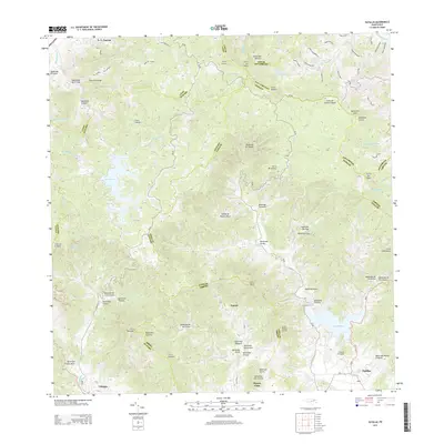 2013 Map of Patillas, 2013 Print