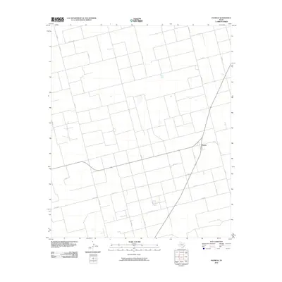 2010 Map of Patricia, 2010 Print