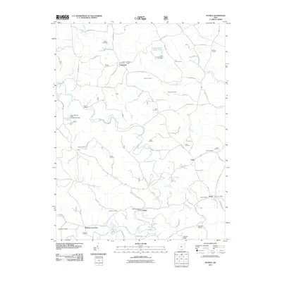 2011 Map of Patriot, 2011 Print