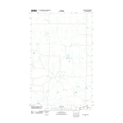2011 Map of Pea Lake, 2011 Print