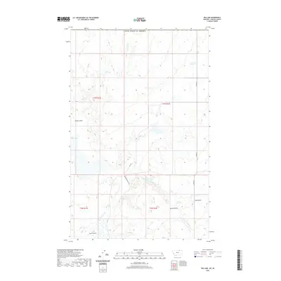 2020 Map of Pea Lake, 2020 Print